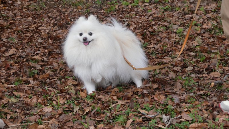 今日も、ふわっといい一日。