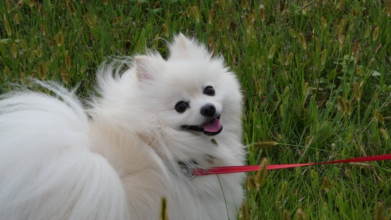 今日もごきげん。