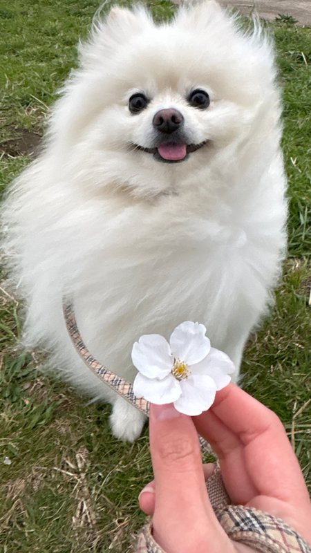 今日も、いい日。