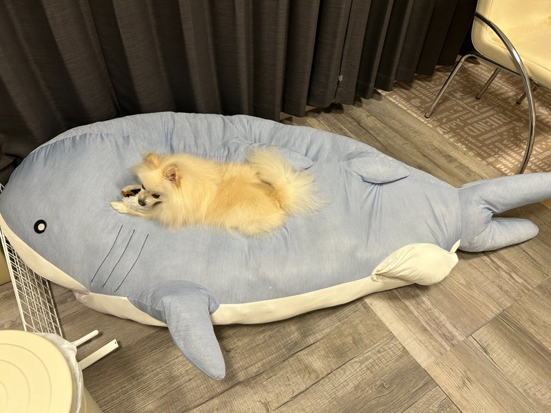 ふわふわ、航海中。