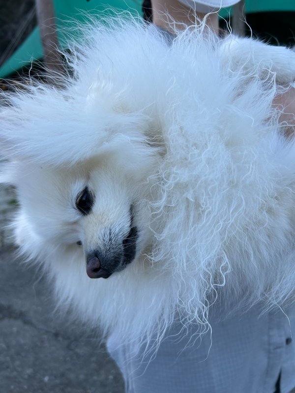 おつかれさま。